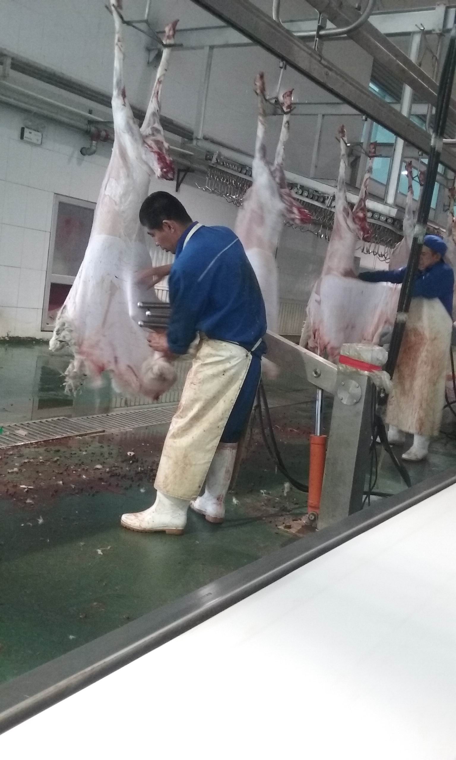 羊肉為什么要排酸？