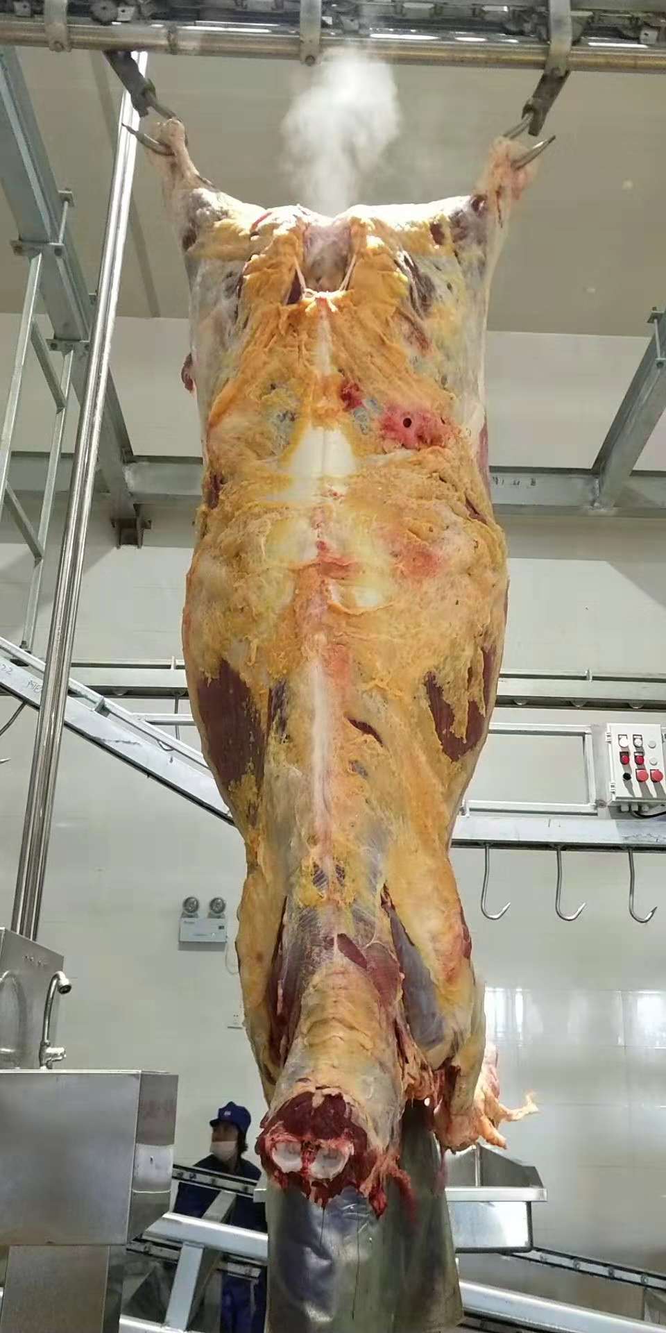 牛屠宰掛鉤